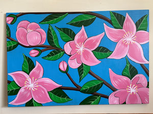 Cherry Blossoms