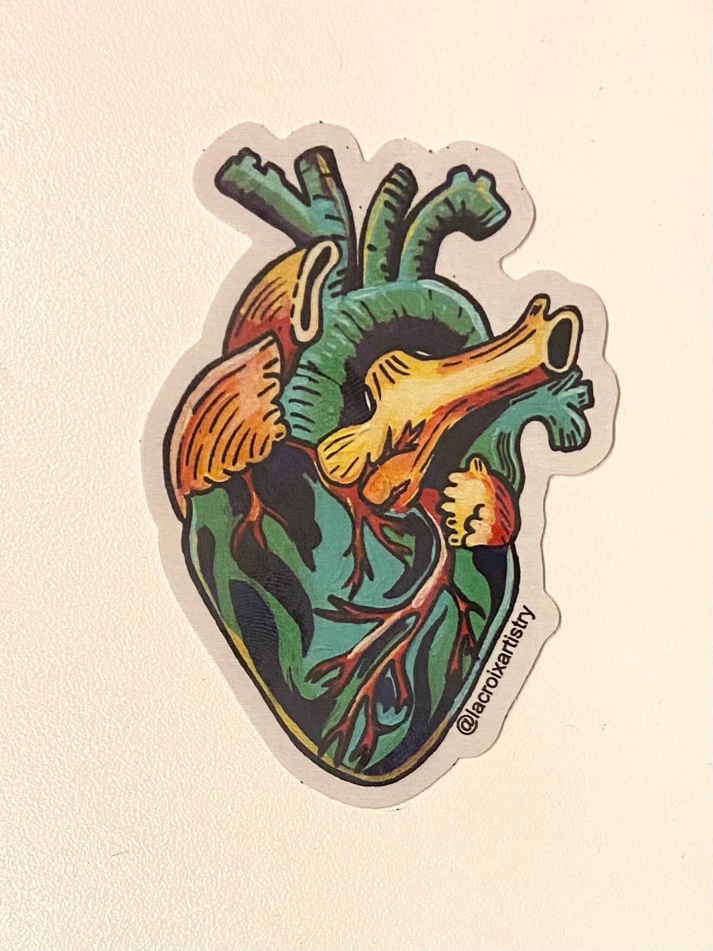 Anatomical hypercolor heart 3” vinyl sticker